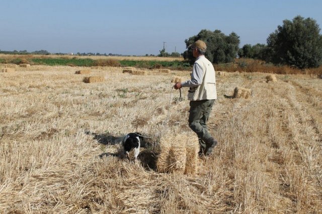 Αγωνες Α.Κ.Ι 11/6/2017